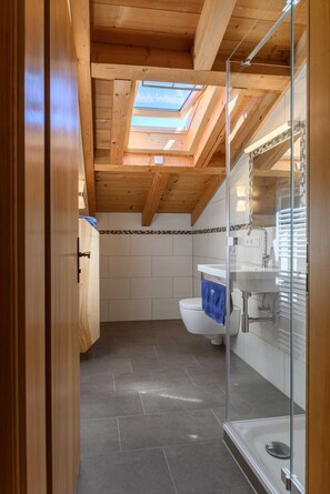 A modern bathroom with a skylight, a toilet, a sink, and a glass shower enclosure.
