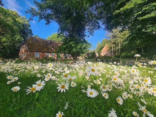 Fewo 1/3-Raum (52m ², 2-4 Pers.) - Rural vacation near Baltic resort Rerik