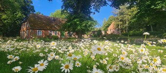 Fewo 1/3-Raum (52m ², 2-4 Pers.) - Rural vacation near Baltic resort Rerik