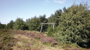 Een houten schommel in een natuurlijke omgeving met dichte begroeiing en heide.