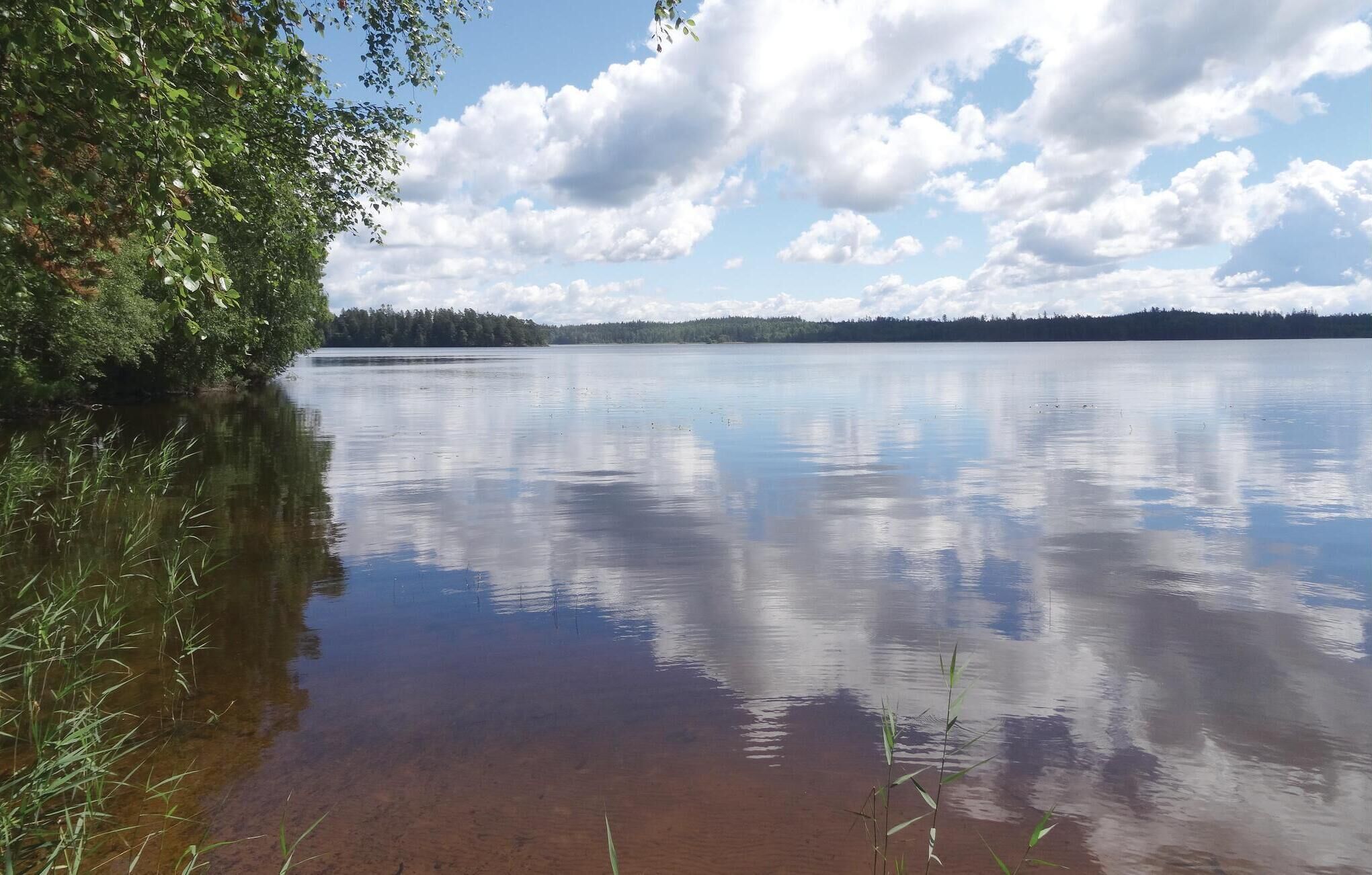 A calm lake with clear reflections of the sky and surrounding trees.