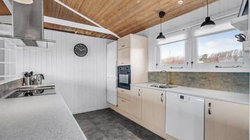 Kühlschrank, Herdplatte, Geschirrspüler