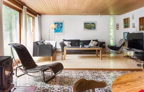 Fernseher, Kamin, DVD-Player