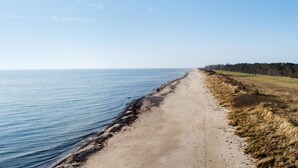 Een strand met een zandstrand en grasduinen.
