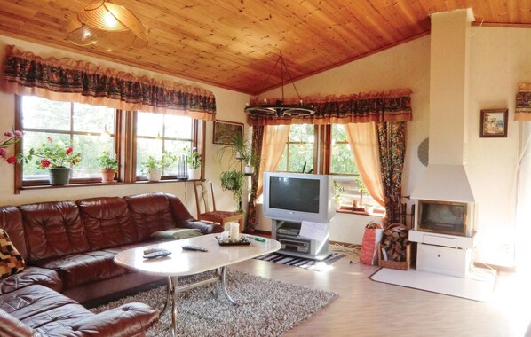 Télévision, cheminée, lecteur de DVD