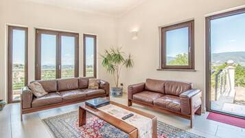 Télévision, cheminée, lecteur de DVD, table de tennis de table