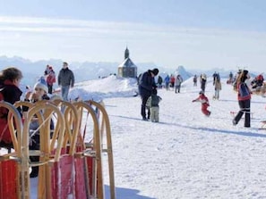 Sports dâhiver