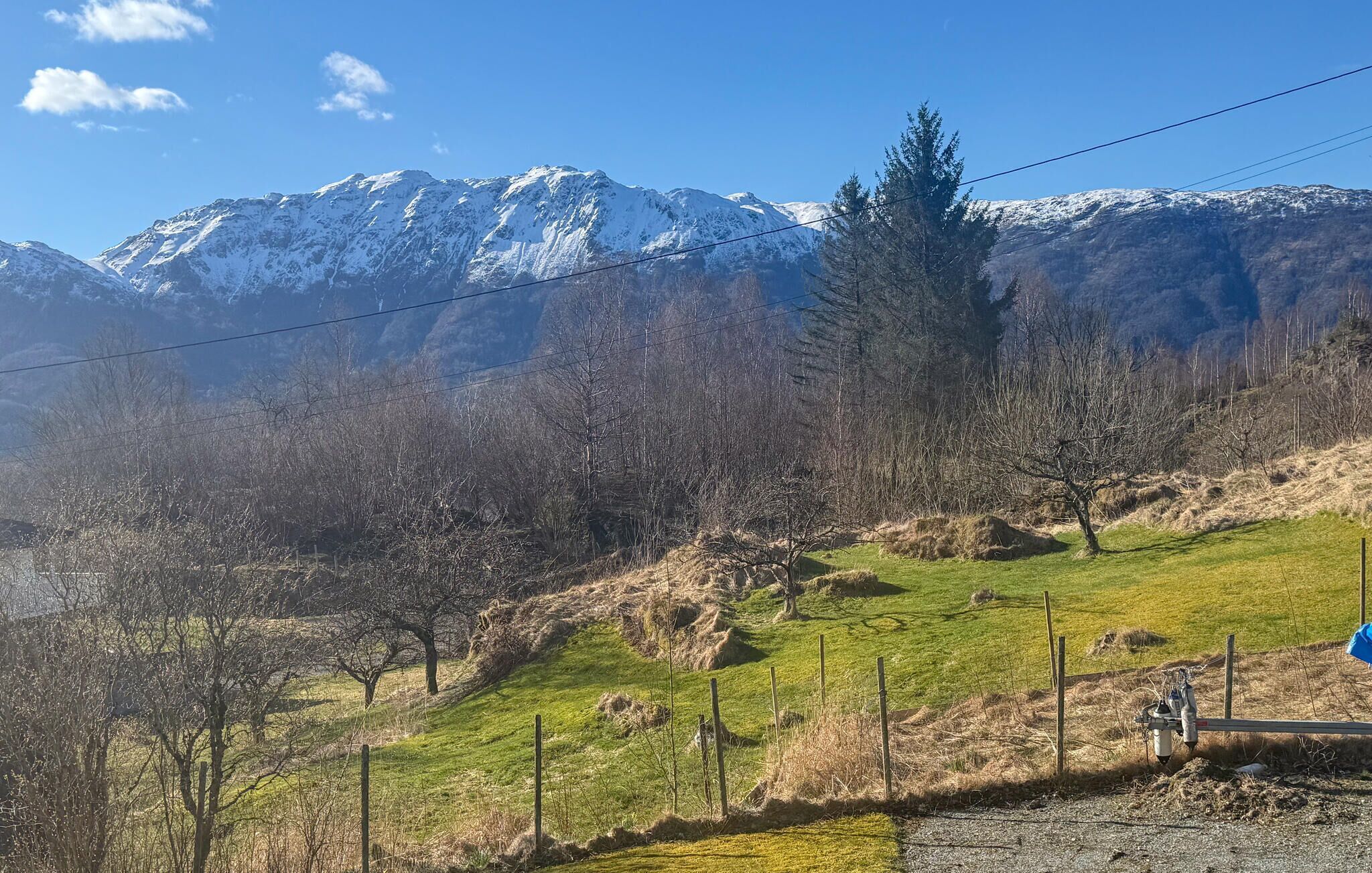 Paisatge montanyós amb cims nevats, un turó amb herba i una tanca.