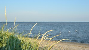 Ein Strand mit klarem Wasser, entfernten Windkraftanlagen und grasbewachsenem Ufer.