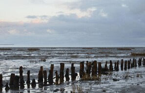 Ubicación cercana a la playa y pesca