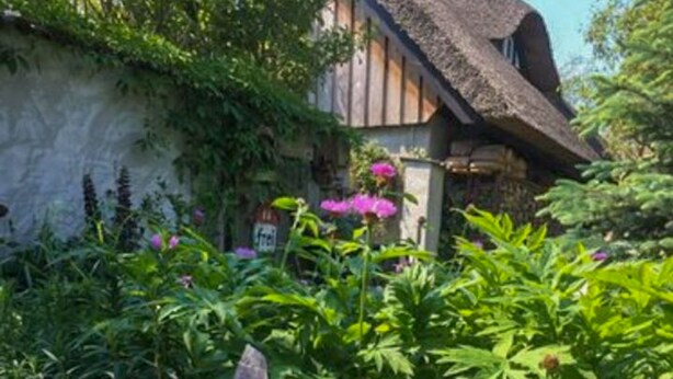 Une maison rustique avec un toit de chaume, entourée d’une végétation luxuriante et de plantes en fleurs.