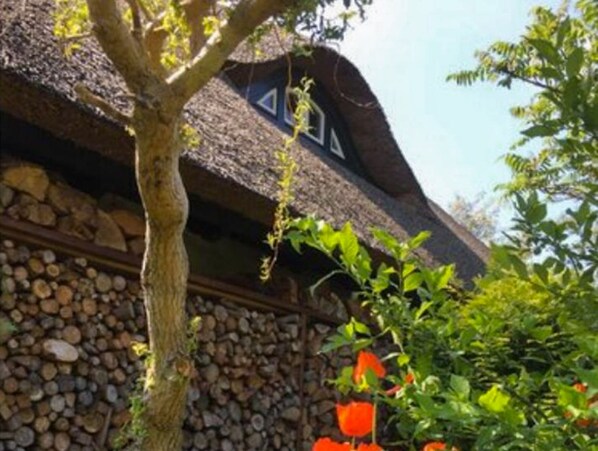 Image sans description, 1 de 21, bouton