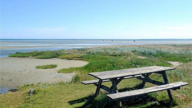 Uma mesa de piquenique numa área gramada, com vista para a praia e o oceano.