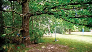 Um conjunto de baloiço em cabana numa área arborizada, com um gol de futebol ao fundo.