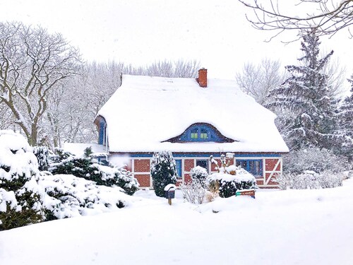 Ferienwohnung OG - Ferienwohnungen im Reetdachhaus