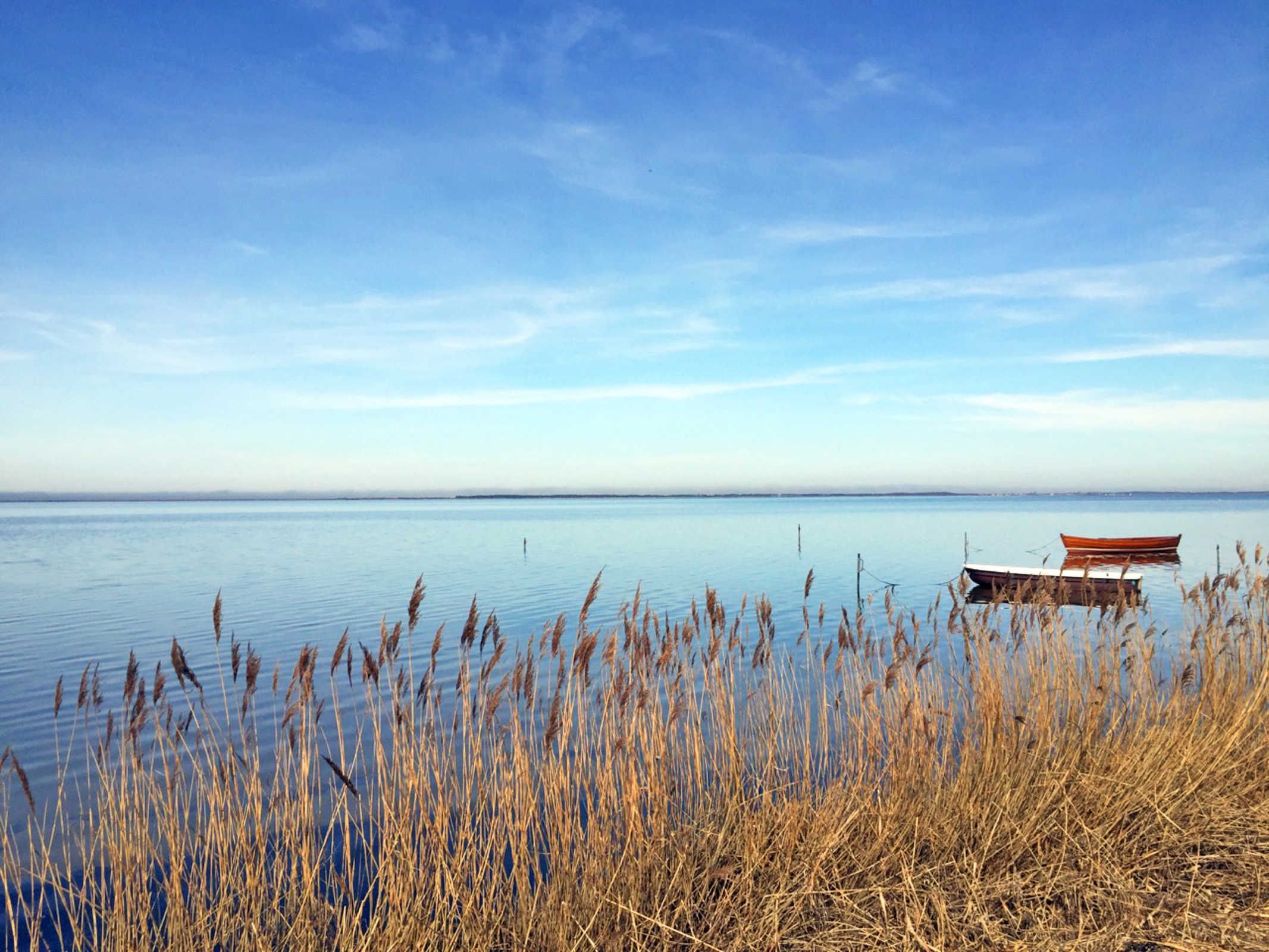 A calm lake with a wooden boat and reeds in the foreground.