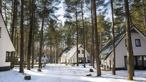 A snow-covered path leading to a row of white cabins surrounded by tall trees.
