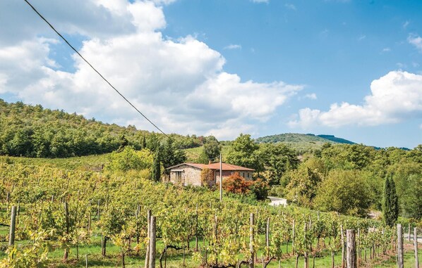 Un vignoble avec des rangées de vignes et un bâtiment en pierre en arrière-plan.