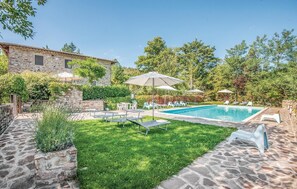 Pool - Nice apartment in Greve In Chianti FI (Greve In Chianti FI)
