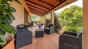 Eine überdachte Terrasse mit Korbmöbeln, einem Fernseher und Topfpflanzen.