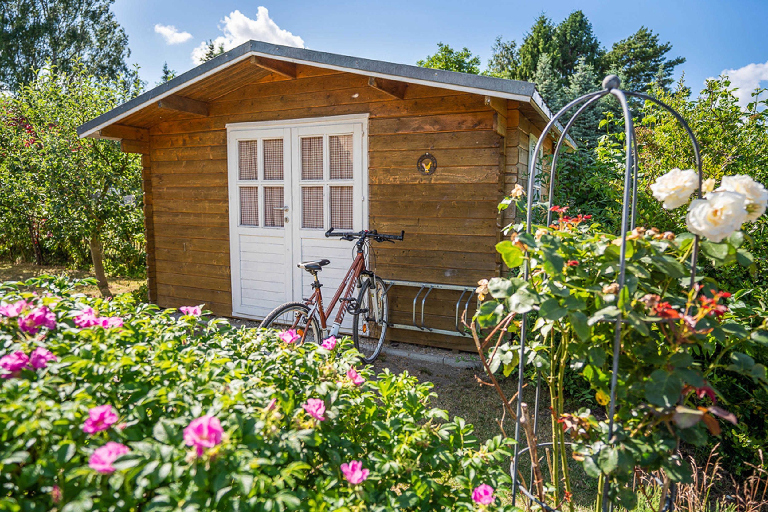 A wooden cabin with a white door, a bicycle parked outside, and a garden with pink flowers.