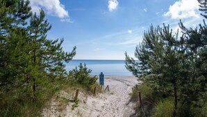Ein sandiger Pfad am Strand, umgeben von Kiefern.