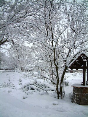 Un parque cubierto de nieve con árboles desnudos y un pabellón.