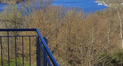 Ferienwohnung 4 - Waldvögelein - Ferienwohnungen Friedrichs