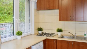 A kitchen with wooden cabinets, a gas stove, a dishwasher, and two potted plants. - Cozy home in Biskupice with WiFi (Biskupice)