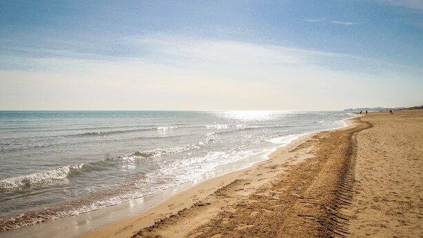 Een strand met een zandrijk strand en een heldere lucht.