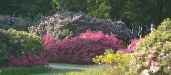 Haus Bernstein 1 - Lejlighed Bernstein 1