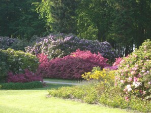 Parco della struttura