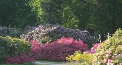 Haus Bernstein 1 - Appartement Bernstein 1