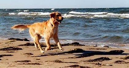 2 bedroom amazing home in SĂŒssau/Ostsee