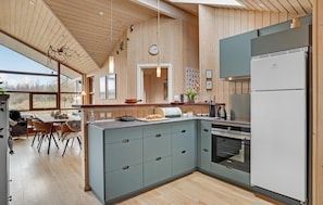 Kühlschrank, Mikrowelle, Herdplatte, Geschirrspüler