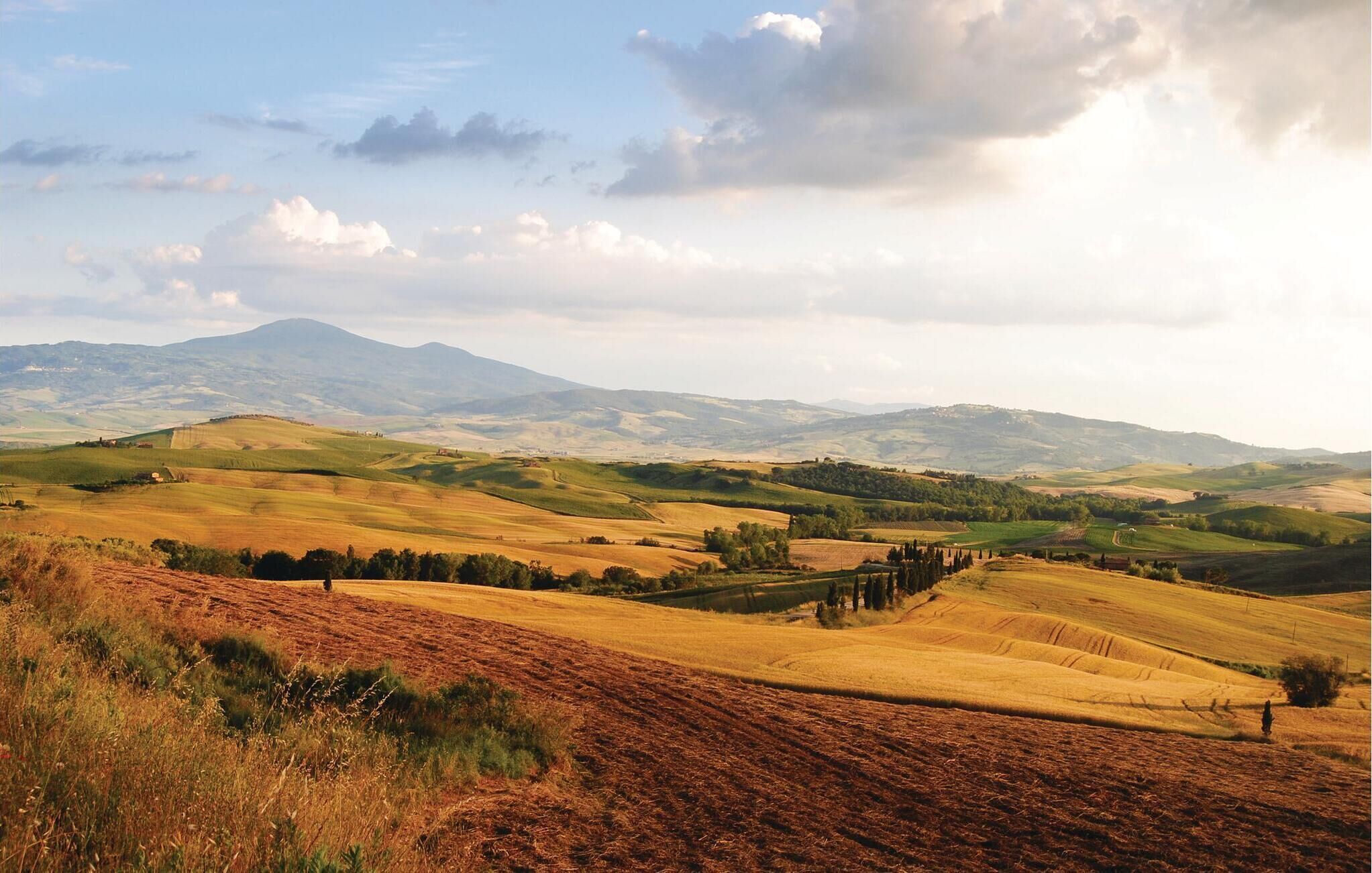 Welliges Gelände mit fernem Bergpanorama und blauem Himmel.