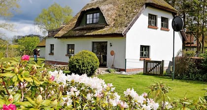 Ferienwohnung unterm Reetdach in Woorke - Ferienhaus und -wohnung unterm