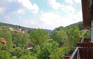 Unclassified image, 4 of 9, button