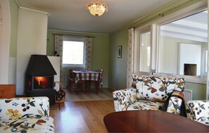 Televisión, chimenea y reproductor de DVD 