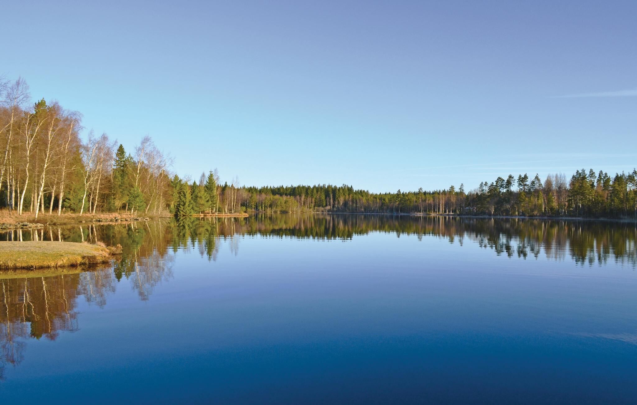 Ein ruhiger See mit Spiegelungen von Bäumen und wolkenlosem Himmel.