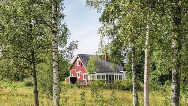 A red house with a sloped roof, surrounded by birch trees and a grassy field. - Nice home in Lenhovda with WiFi (Lenhovda)