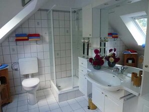 Ducha, secador de pelo, toallas