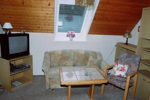 Fernseher