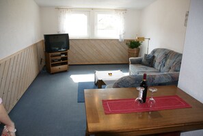 Fernseher
