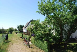 Property grounds - Apartment 1 - Holiday apartment in Vitte (Insel Hiddensee)