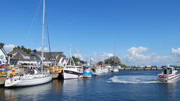 A marina with various boats docked, a bridge in the background, and buildings along the waterfront.