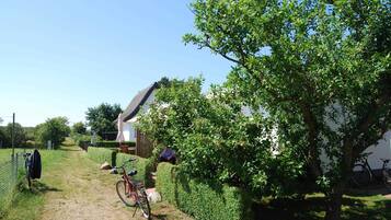 A pathway leading to a house with a thatched roof, a bicycle, and a tree.