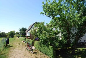 Un sendero que lleva a una casa con techo de paja, una bicicleta y un árbol.