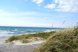 Una playa cerca
