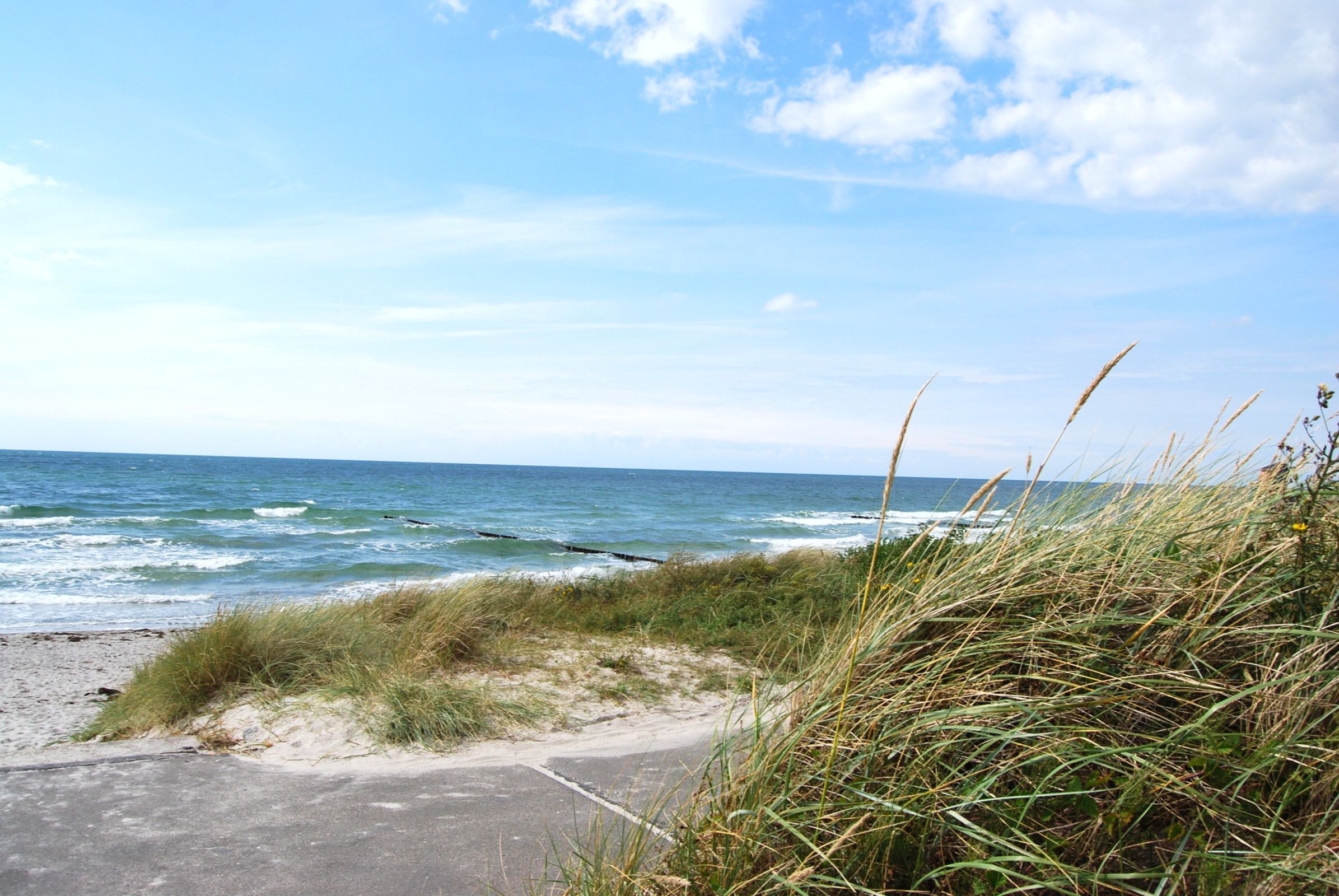 A coastal road with grassy dunes and the ocean in the background.